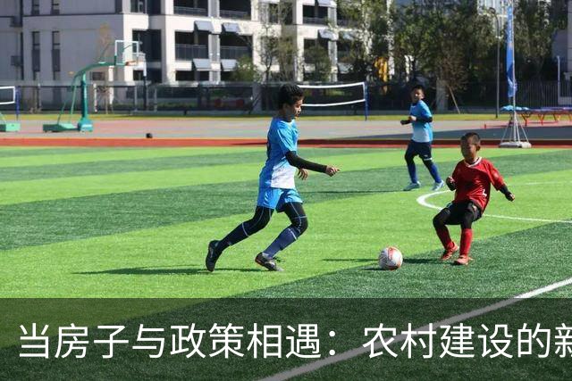 当房子与政策相遇：农村建设的新挑战